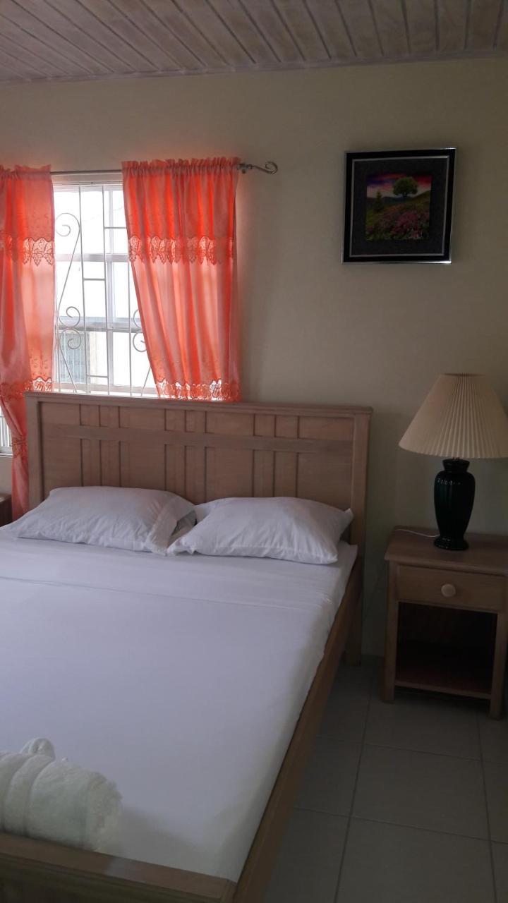 Sue'S Homestay Christ Church Buitenkant foto