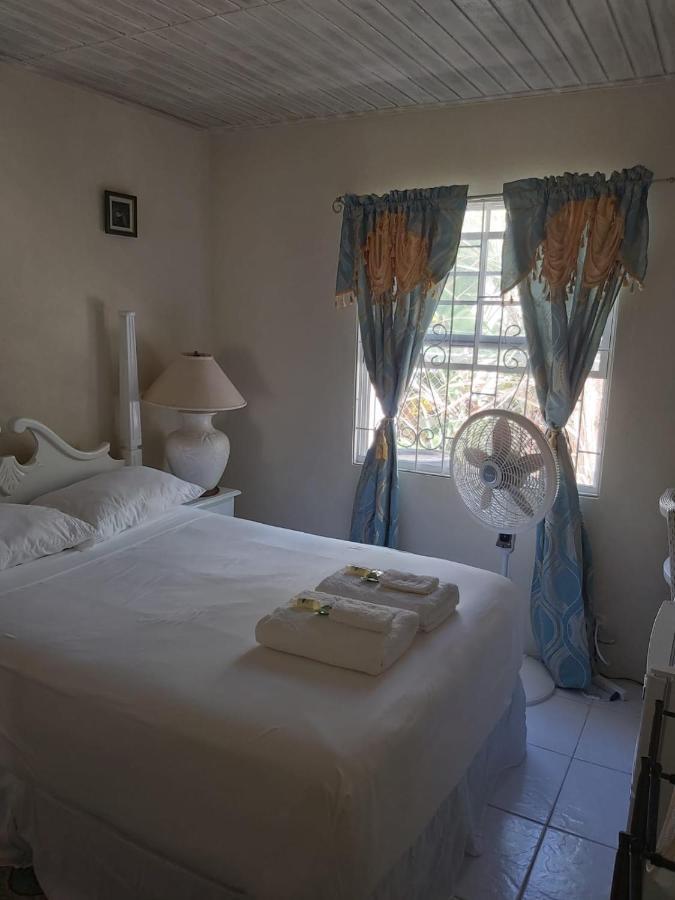 Sue'S Homestay Christ Church Buitenkant foto